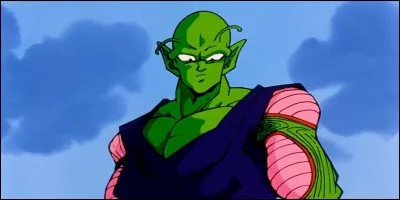 What species is Piccolo?
