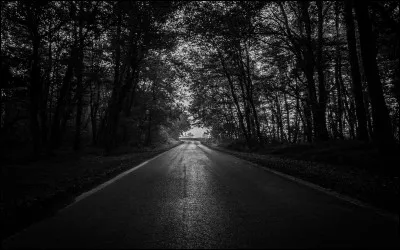 That road is very dangerous. She ______there at night.
