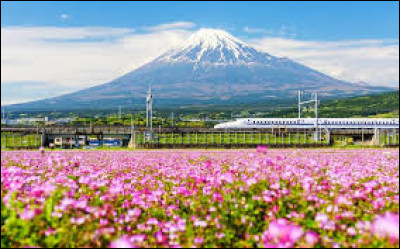 Angella wants to travel to Japan next year. She____her money.