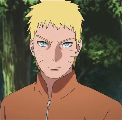 What transformation is unique to Naruto Hokage?