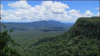 What language is spoken in Suriname?