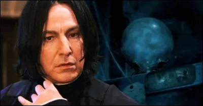 Professor Severus Snape teaches :