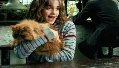 What's the name of Hermione Granger's cat?