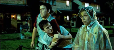Who attacks Dudley and Harry at the beginning of the 5th film?
