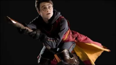 What is the model of Harry's first broom?