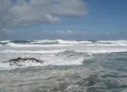 Quiz À vau-l'eau
