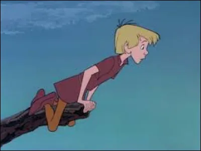 Fly to the right answer!