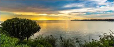 Is Lake Victoria the largest lake in Africa?