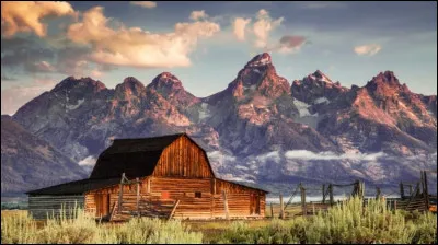 If I show you this photo, you'll say...