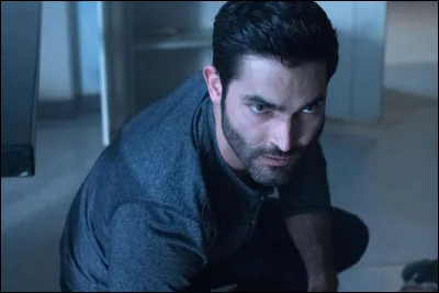 In which series can we find Derek Hale?