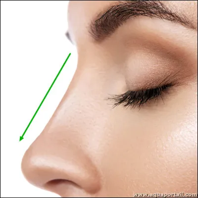 How do you say "nose" in English?