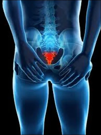 Find the correct spelling of this part of the human body: