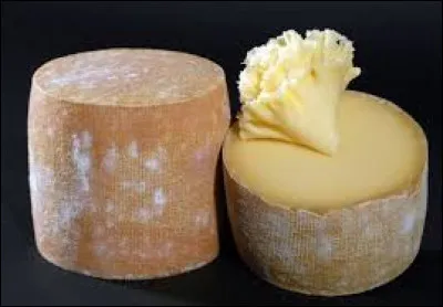 Where does Tete de Moine come from?