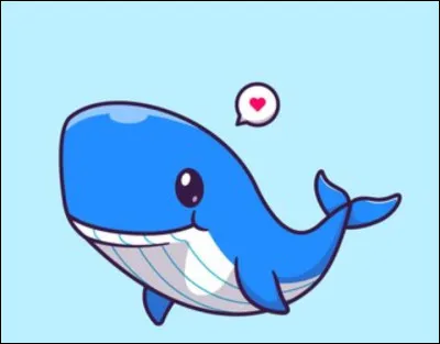 What colors is the orca?