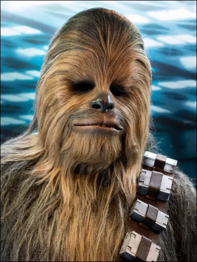 Which animal comes from ''Star Wars''?