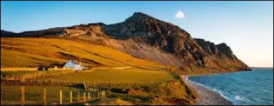 What animal is on the flag of Wales?