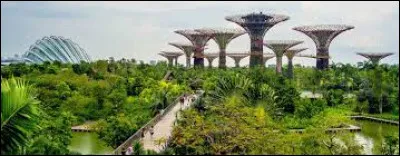 Which Asian city is nicknamed the City of Lions?