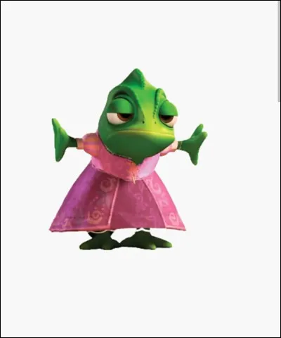 Pascal is the pet of