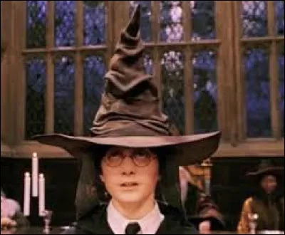 What is the name of the magic hat in Harry Potter?
