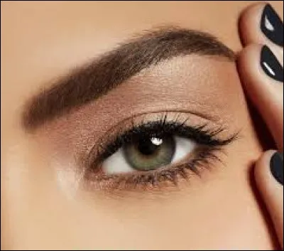 Which of these makeup products is not for eyes?