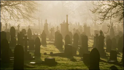 What is fear of cemeteries called?