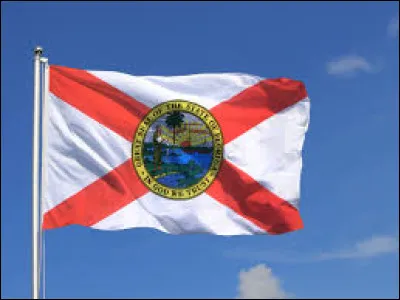 Which state does this flag belong to?