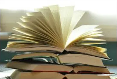 Michel Strogoff is an adventure novel by Jules Verne, published in 1876.