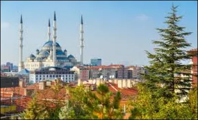 The capital of Turkey is the city of Ankara.