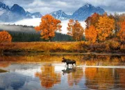 Quiz L'automne en culture générale