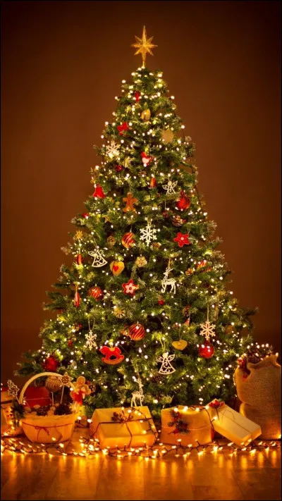 Which tree is usually bought on December 1st?