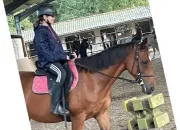 Quiz Connais-tu bien le matériel d'équitation ?