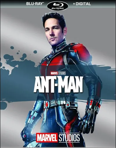 What is the name of Ant-Man's alias in the second film?
