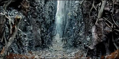 On a long journey, what do you prefer ?