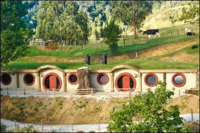 What type of accommodation do you prefer ?