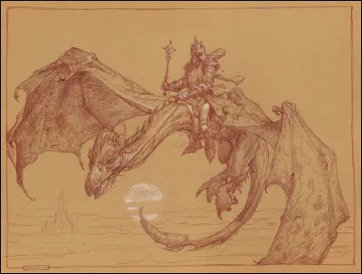 What do you usually pack for a trip ?