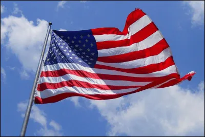 The presidential elections in the USA also caused quite a stir; but who won?