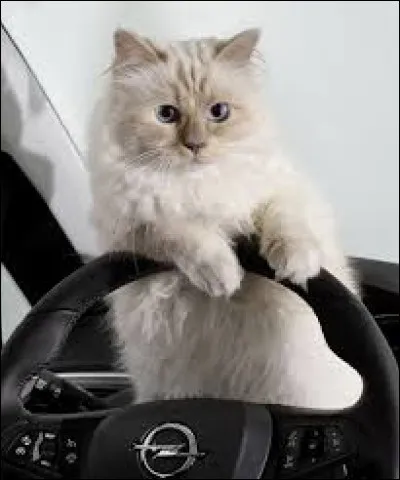 Click on the right answer: