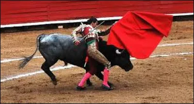What is the name of the red cloth used by a matador to provoke the bull?