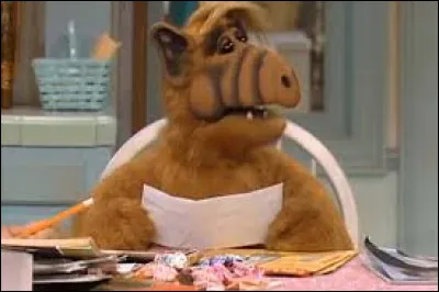 Alf is a very small alien. How tall is he?