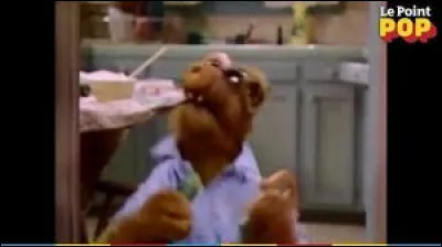What is Alf's favorite food?