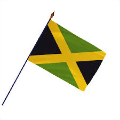 Which country has this flag?