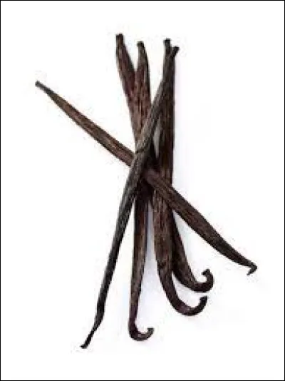 True or false: vanilla is a member of the orchid family.