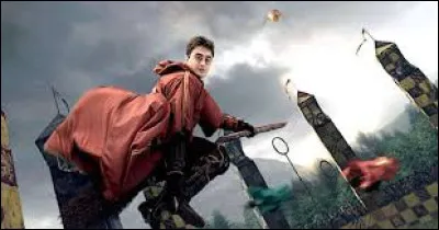 Who plays Quidditch?