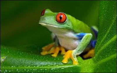 What do you need to add to gre to get the name of this little slimy animal?