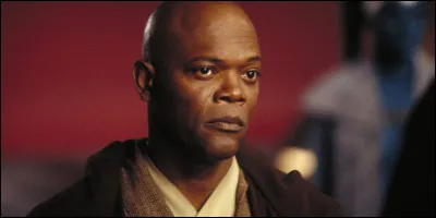 What color is Master Windu's sword?