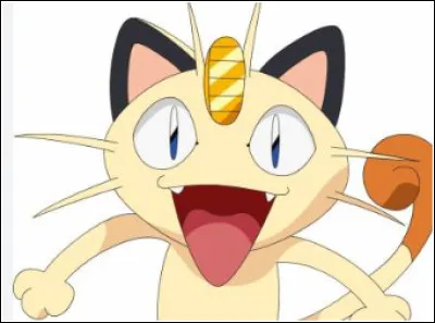 What's this cat's name?