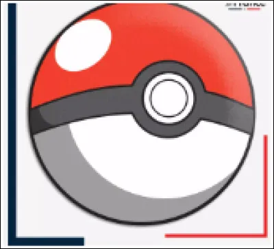 What is the name of the place where Pokemon are stored?