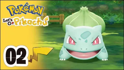 What is its category?