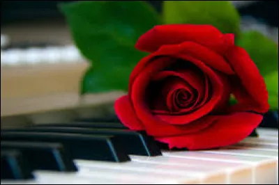 The song Jealous Guy is part of Paul McCartney's repertoire.