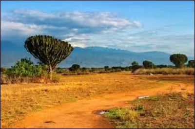 Which city is the capital of Uganda?